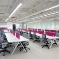 Foodpanda Singapore - Cecil Street | Products Seen: [Apex Workstation & Astrid Midback Office Chair]